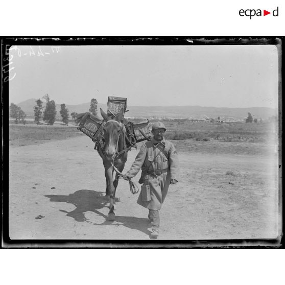 Izvor (Thessalie). Pigeons voyageurs militaires. Estafette d'infanterie emportant le pigeon aux lignes. (Juillet 1917). [légende d'origine]