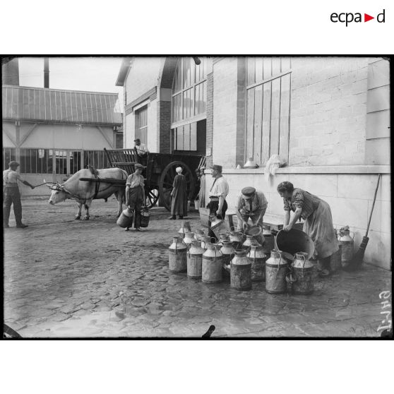 Parc de l'usine de produits chimiques de Croissy. Le contrôle des pots de lait (nettoyage supplémentaire). [légende d'origine]