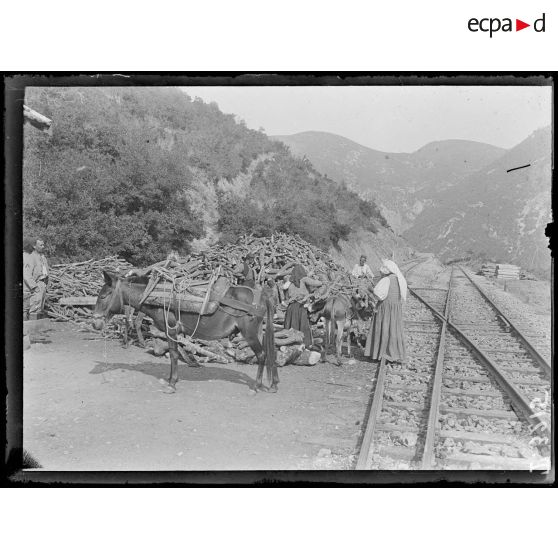 Specheios (Hellada). Vue sur la ligne d'Athènes-Salonique, le charbon est remplacé par du bois pour les machines. [légende d'origine]