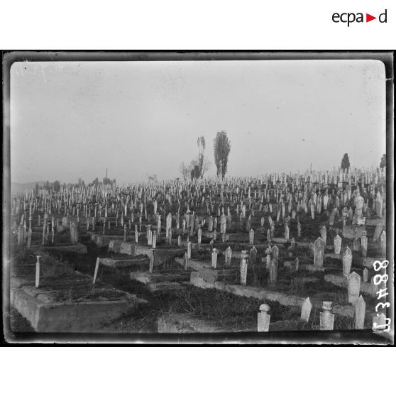 Salonique. Vue d'ensemble du cimetière turc de Zeitenlick. [légende d'origine]