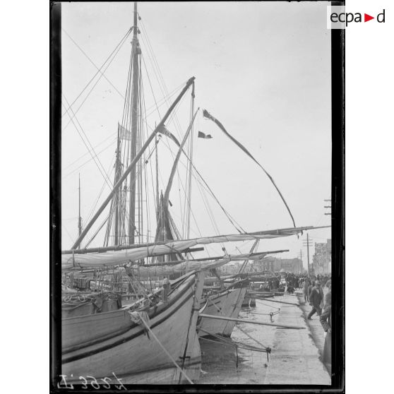 Salonique. Tartanes à quai. [légende d'origine]