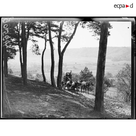 Tréveray, camp américain. Chariot conduisant du fourrage. [légende d'origine]