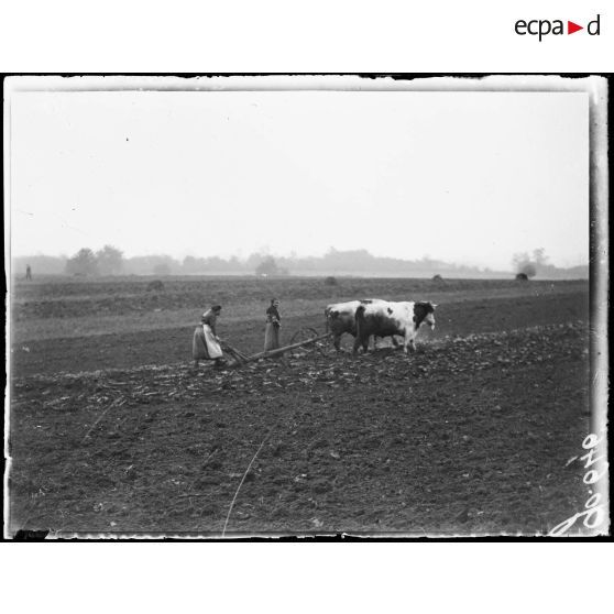 Près de Besançon, femme labourant à la charrue. [légende d'origine]