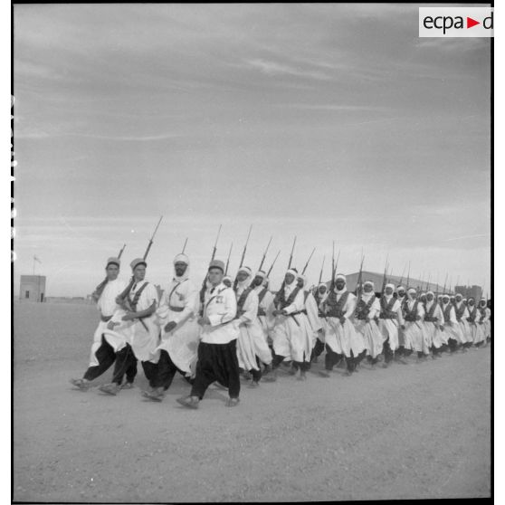 Cérémonie militaire à Tindouf (Algérie).