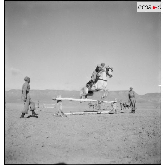 Classes à cheval au 5e escadron du 1er RSA.