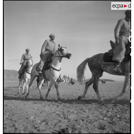 Classes à cheval au 5e escadron du 1er RSA.