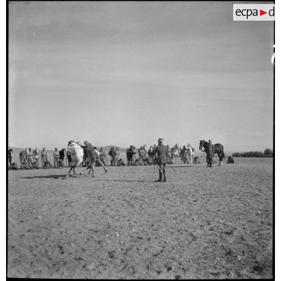 Exercice de voltige équestre au 5e escadron du 1er RSA.