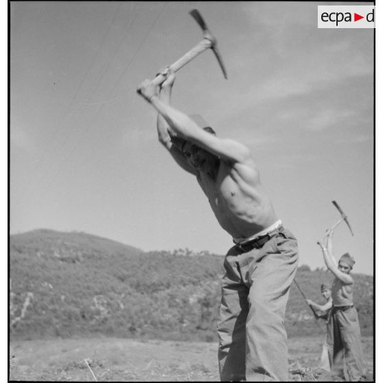 Des tirailleurs indochinois du camp de Darboussière exécutent des travaux de défrichement.