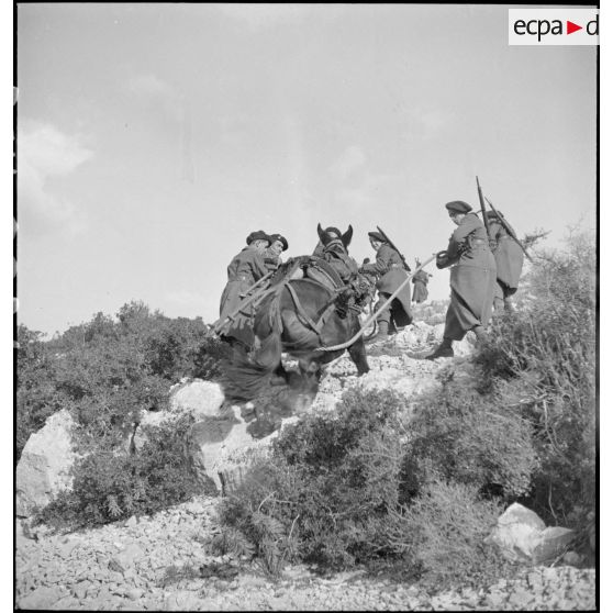 Entraînement des chasseurs du 43e RIA.