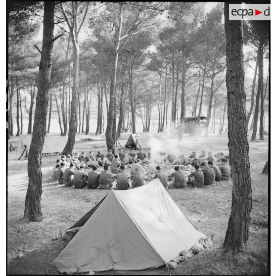 Campement de la 15e compagnie (ou 15e escadron) du train.