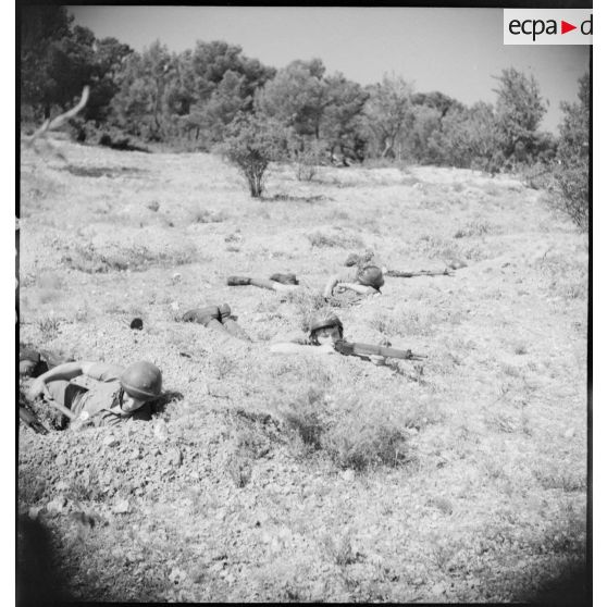 Exercice de la 15e compagnie (ou 15e escadron) du train sur le camp de Carpiagne.