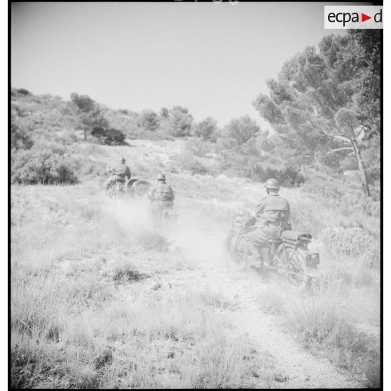 Exercice de la 15e compagnie (ou 15e escadron) du train sur le camp de Carpiagne.