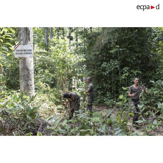 Des stagiaires du régiment du service militaire adapté (RSMA) ramassent du bois pour le feu lors d'un atelier bivouac à Saint-Jean-du-Maroni, en Guyane française.