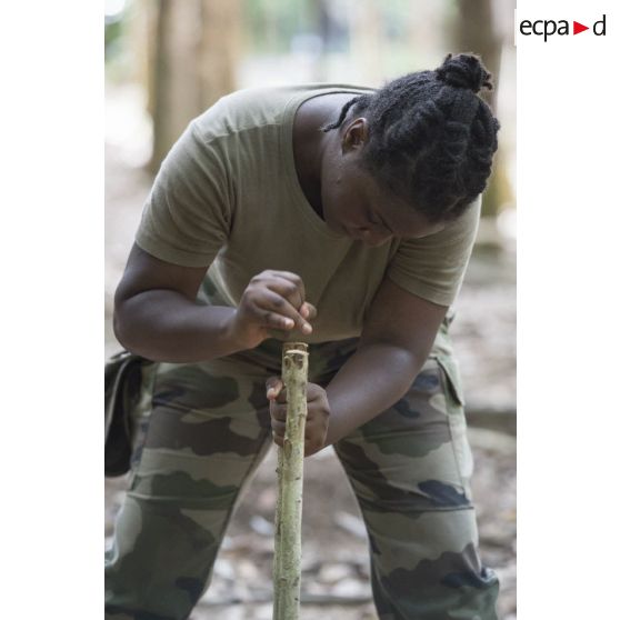 Une stagiaire du régiment du service militaire adapté (RSMA) plante un piquet de tente pour le montage d'un bivouac lors d'un atelier jungle à Saint-Jean-du-Maroni, en Guyane française.