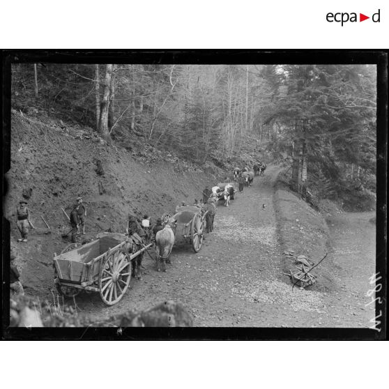 Route de Giromagny à Sewen, travailleurs alsaciens cassant des cailloux. [légende d'origine]