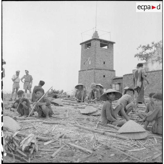 Enfants et jeunes Vietnamiens travaillant des tiges de bambou destinées à la fortification du poste de Yen Vi.