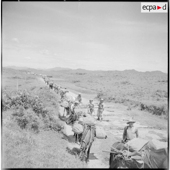 Colonne muletière de la 2e section de la 2e batterie du 64e RAA (régiment d'artillerie d'Afrique) sur la RC 3, entre Phu Loi et Thaï Nguyen.