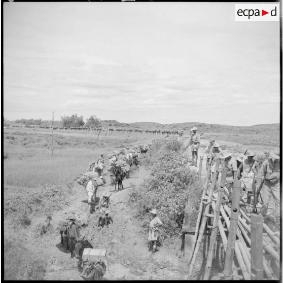 Colonne muletière de la 2e section de la 2e batterie du 64e RAA (régiment d'artillerie d'Afrique) sur la RC 3, entre Phu Loi et Thaï Nguyen.