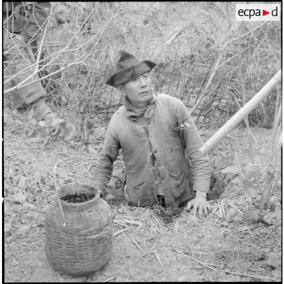 Un partisan du Viêt-minh sort de sa cachette souterraine, débusqué par les commandos au cours de l'opération Barbe.