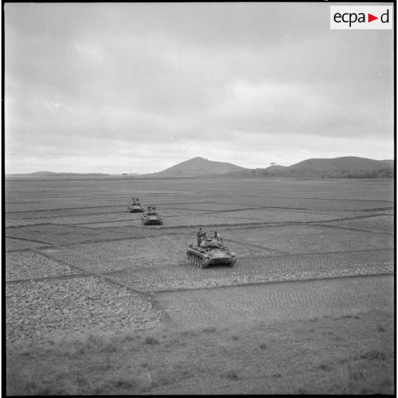 Progression de chars M24 Chaffee du 1er régiment de chasseurs à cheval dans des rizières du Tonkin.