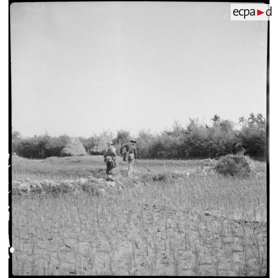 Opération de déminage par des éléments du 5e REI (régiment étranger d'infanterie) au cours d'une opération sur la route entre Hanoï et Haïphong.