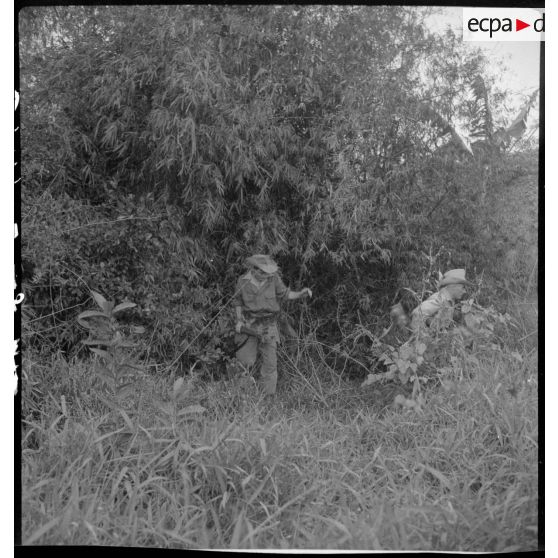 Des légionnaires du 5e REI (régiment étranger d'infanterie) sortant d'un fourré au cours d'une opération sur la route entre Hanoï et Haïphong.