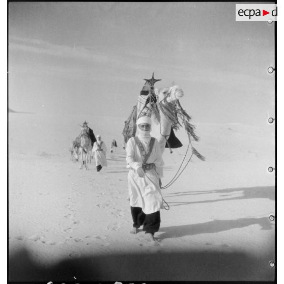 Compagnie de méharistes en patrouille dans le désert.