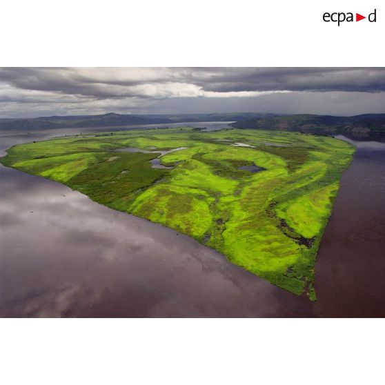 Paysage des bords du fleuve Congo à la végétation florissante.