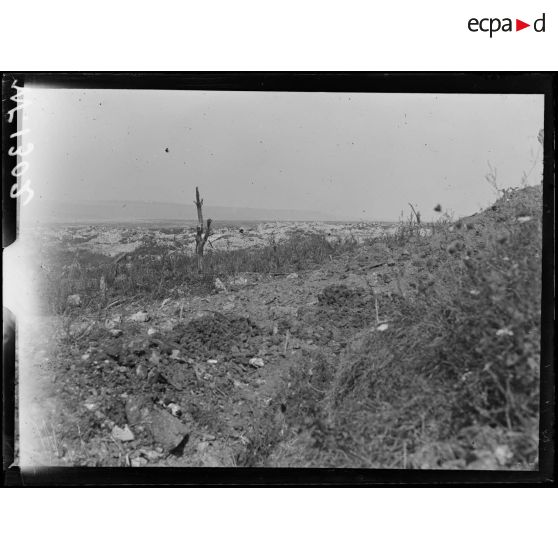 Louvemont, ruines du village. [légende d'origine]