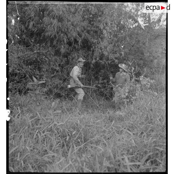 Des légionnaires du 5e REI (régiment étranger d'infanterie) sortant d'un fourré au cours d'une opération sur la route entre Hanoï et Haïphong.