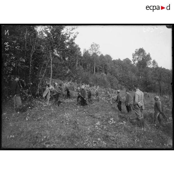 Roy Saint Nicolas (Aisne). Déboisement, taillis. [légende d'origine]