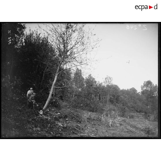 Roy Saint Nicolas (Aisne). Abattage d'un arbre. [légende d'origine]