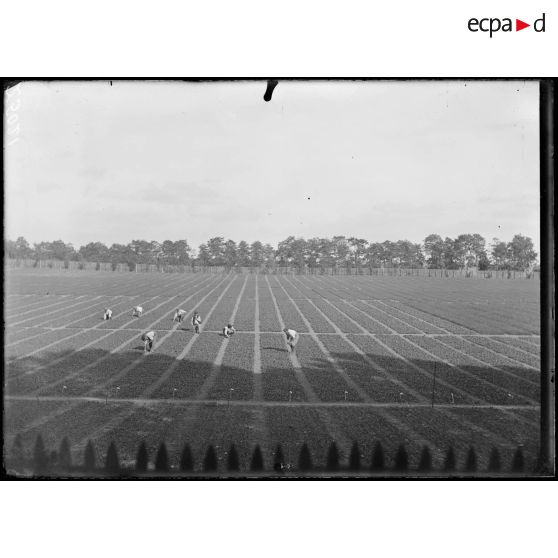 Versailles-Trianon (Seine-et-Oise). Pépinières nationales de plants de légumes. Vue générale du terrain Bechus. [légende d'origine]