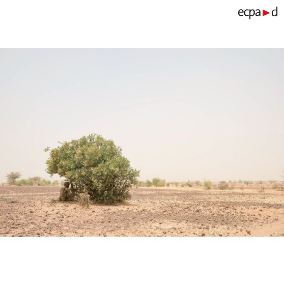 Marsouin de la 2e compagnie "les boucs" du 2e RIMa en surveillance sous un arbre, lors de l'opération Tiésaba-Bourgou dans le Gourma malien.