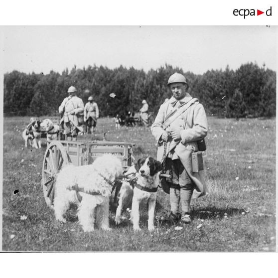 [Soldats cynophiles avec leurs chiens.]