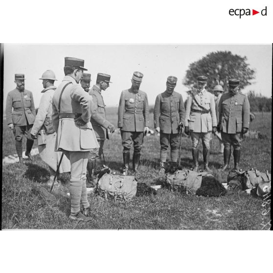 [Un groupe d'officiers autour de trois chiens équipés de sacs.]