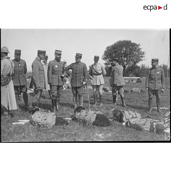 [Un groupe d'officiers autour de quatre chiens équipés de sacs.]