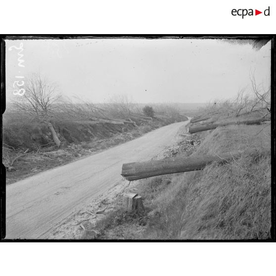 Route de Boiry à Ayette, Pas-de-Calais, arbres coupés. [légende d'origine]