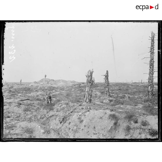 Thiepval, Somme, le château. [légende d'origine]