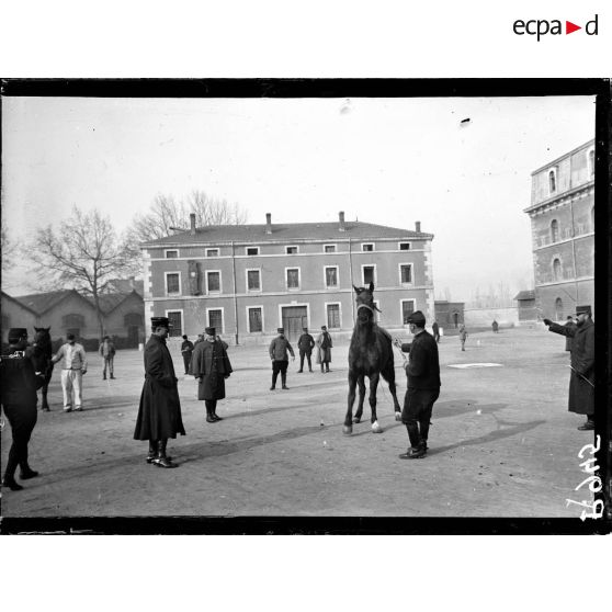 Lyon. Dressage des chevaux canadiens (méthode du Lieutenant Dumas du 54e d'artillerie). La visite (28.3.17). [légende d'origine]