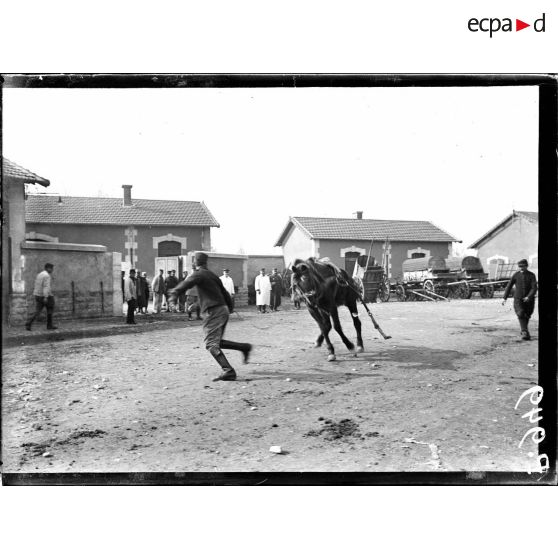 Lyon. Dressage des chevaux canadiens (méthode du Lieutenant Dumas du 54e d'artillerie). Le cheval se défend à la sortie de l'appareil. [légende d'origine]