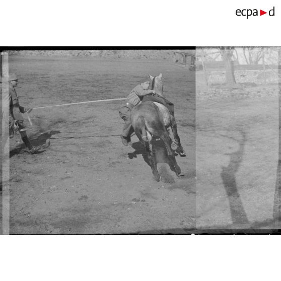 Des sous-officiers du 7e régiment de chasseurs à cheval (RCC) font un exercice à la longe de voltige au galop.