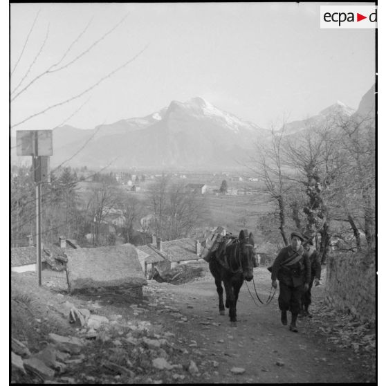 Exercice du 2e RAM de Grenoble.