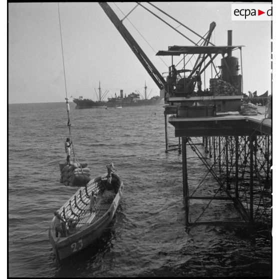 Chargement de sacs de café à Port-Bouët.