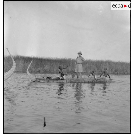 Pêche sur le lac Tchad