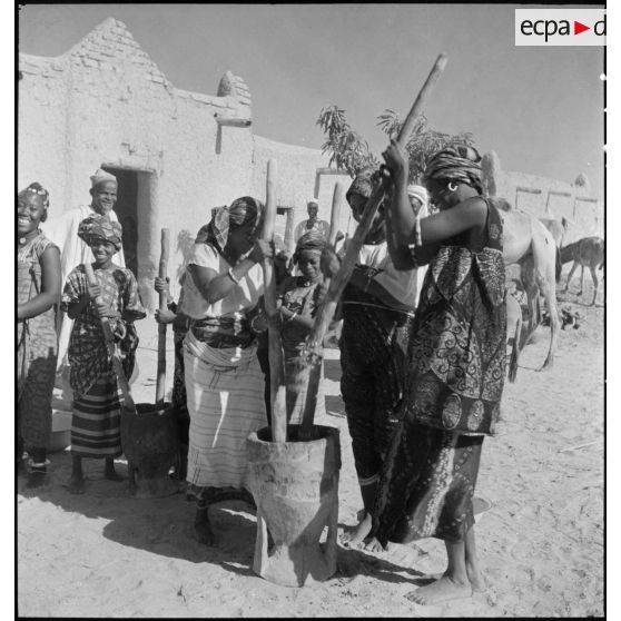 Pilage d'arachides dans un village du Niger.