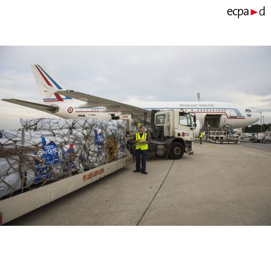 Chargement de fret à bord d'un avion de ligne Airbus A310-300 sur l'aéroport de Roissy-Charles-de-Gaulle.