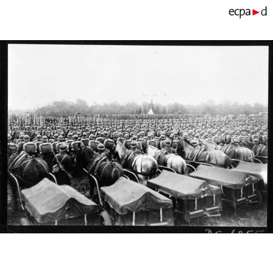 Plan général des troupes polonaises alignées lors de la cérémonie militaire, les soldats sont photographiés de dos.