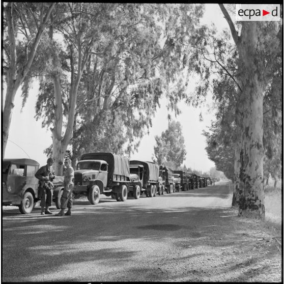 Halte du convoi de GMC de la 1e compagnie du 22e RI (régiment d'infanterie) sur la route près d'Affreville.