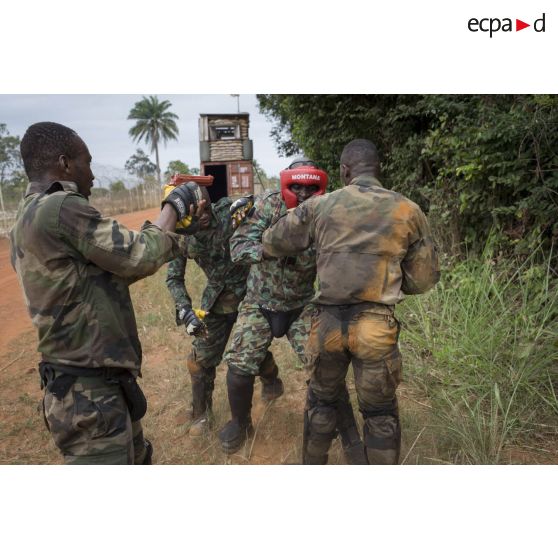 Des gendarmes ivoiriens simulent la neutralisation d'un personnel dangereux et armé à Abidjan, en Côte d'Ivoire.